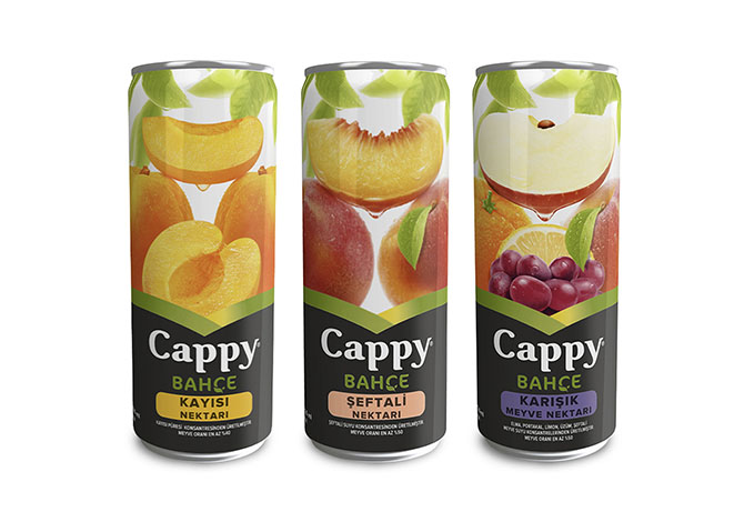 CAPPY MEYVE SULARI