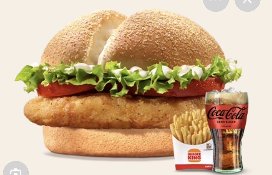 HAMBURDER MENÜ TAVUK